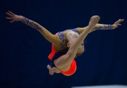 IMG_8391