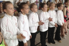 Puchar Prezesa PZG 2013