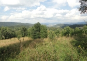 dsc01505