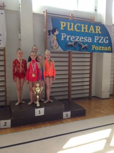 Pucharprezesa1